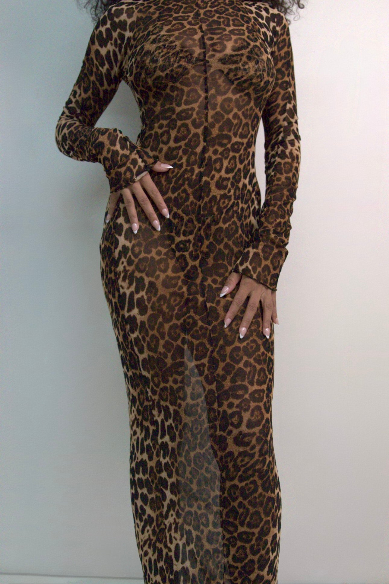 Laila - Cheetah