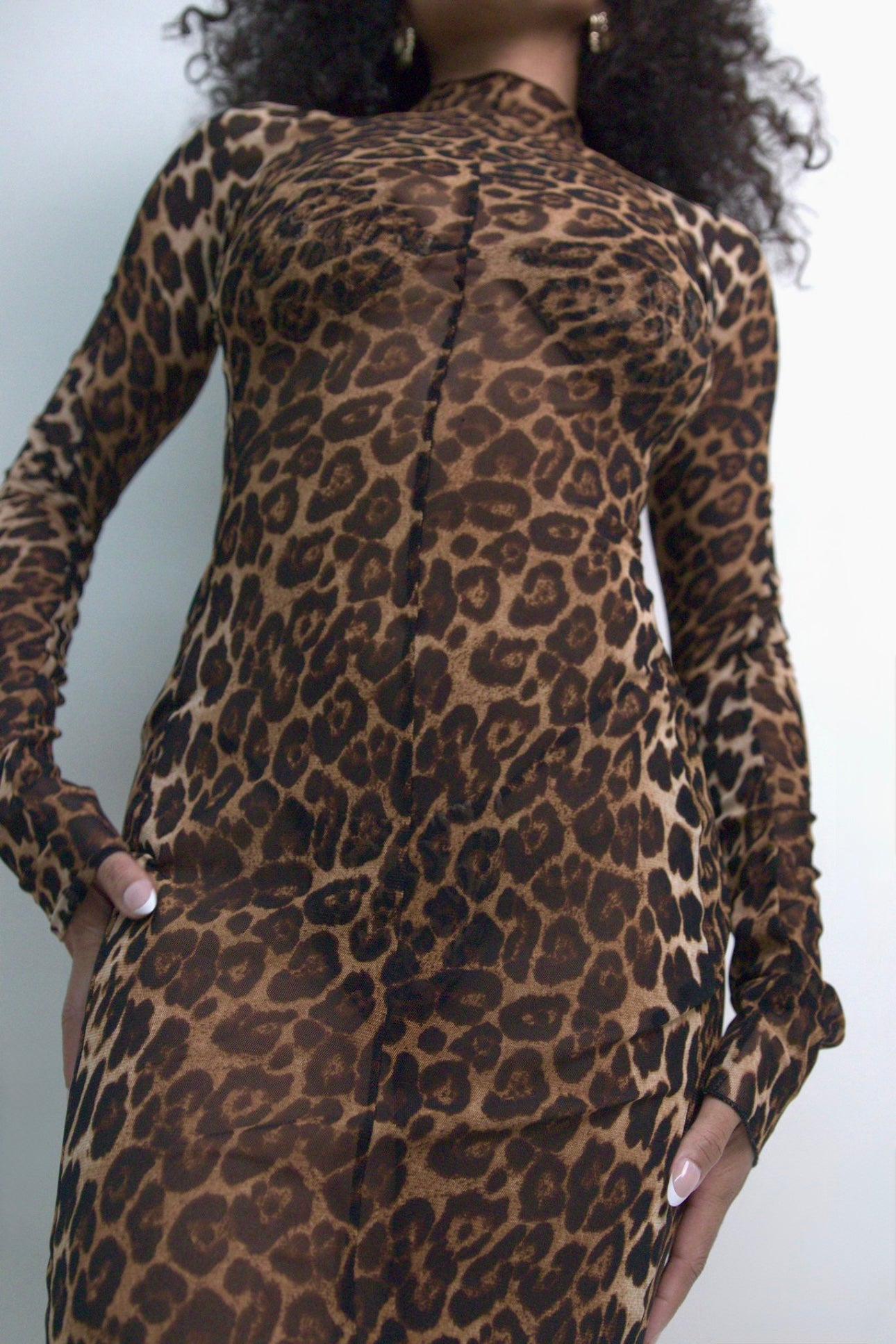 Laila - Cheetah