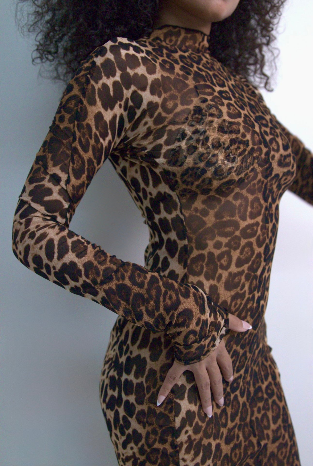 Laila - Cheetah